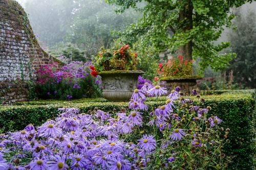 Great Comp Gardens