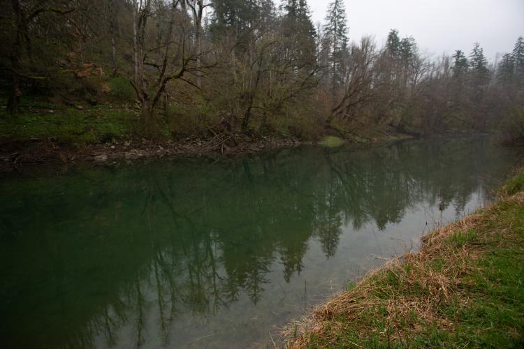 River in Slovenia (somewhere)